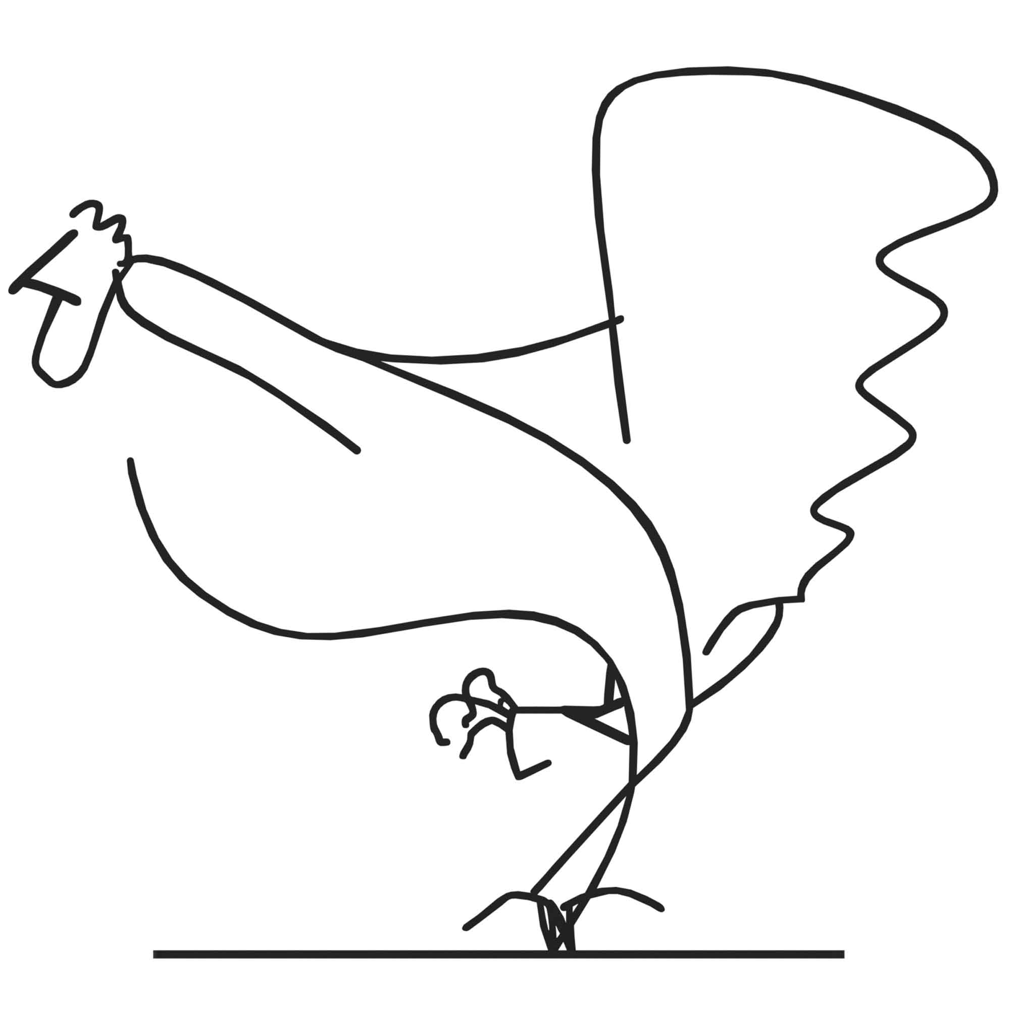 rooster-24-30-CM