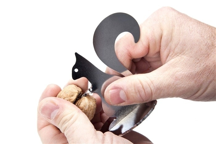 Squirrel Nut Cracker - new model