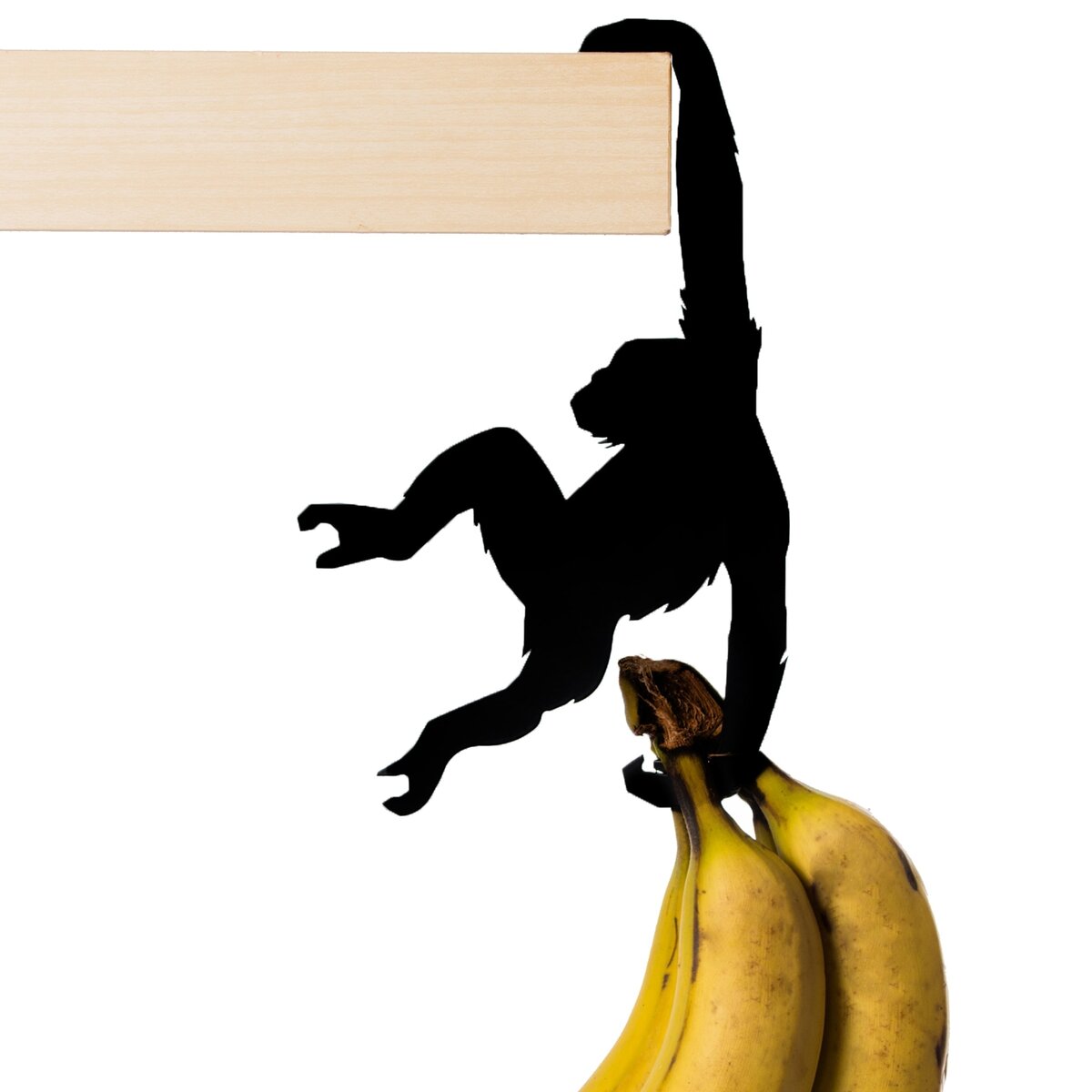 Hold-it-Albert-The-Chimp